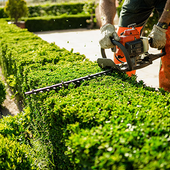 Entretien espaces verts